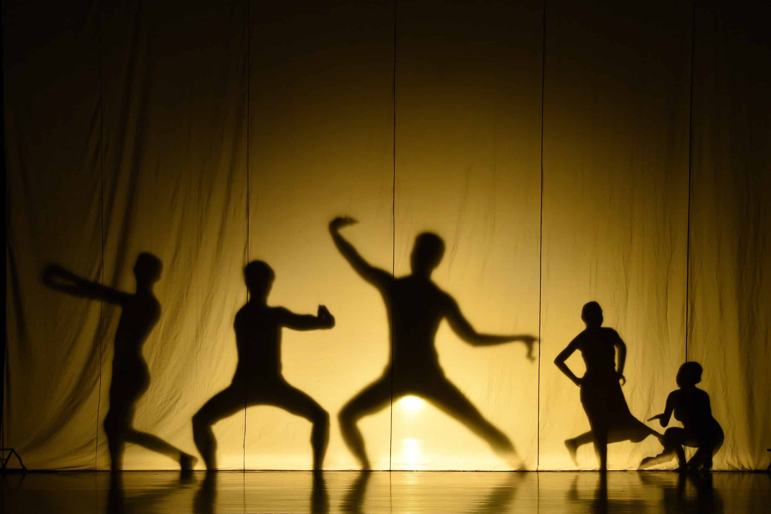 human shadow show human shadow show